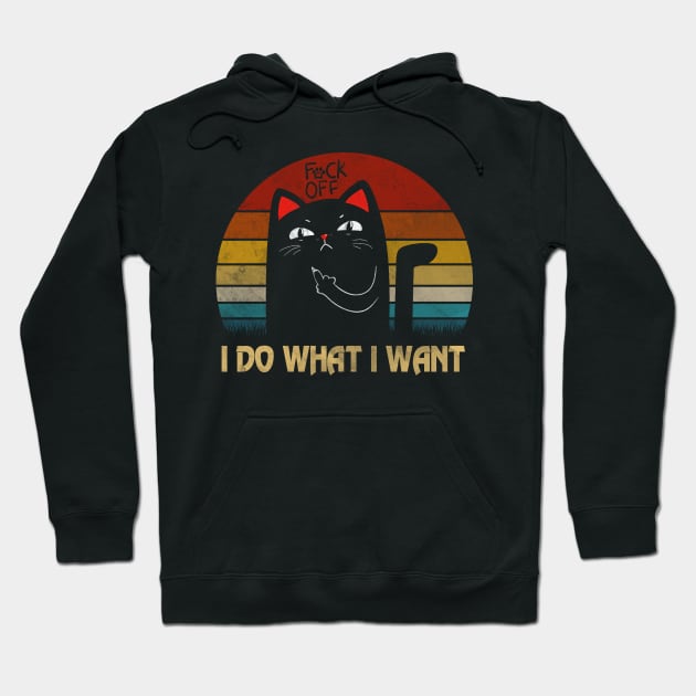 I DO WHAT I WANT Hoodie by JeanettVeal